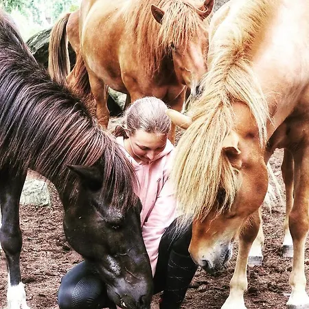 Haus Gasthuis Schladming