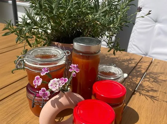 豪斯中央旅馆 4*