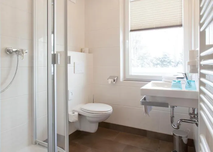 豪斯中央旅馆 4* 斯拉德明